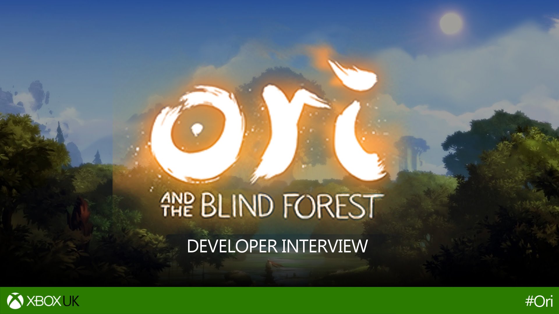 A Developer Look at Ori and the Blind Forest