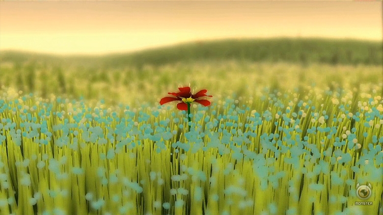 Flower Flower