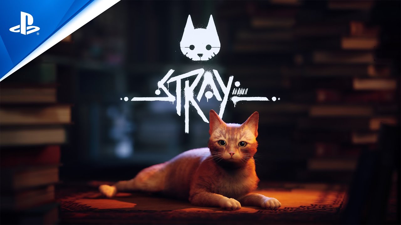 Stray – State of Play June 2022 Trailer Stray – State of Play June 2022 Trailer